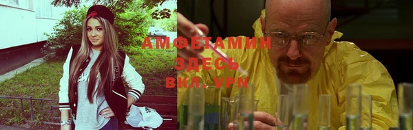 дмт Лиски