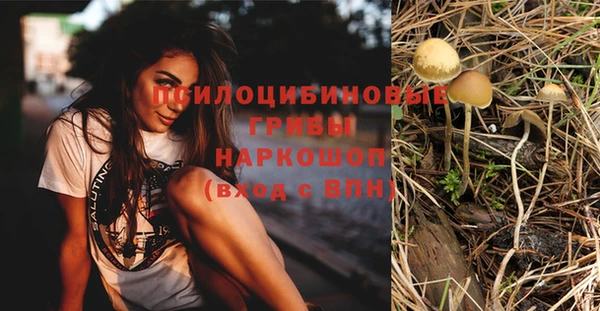 дмт Лиски