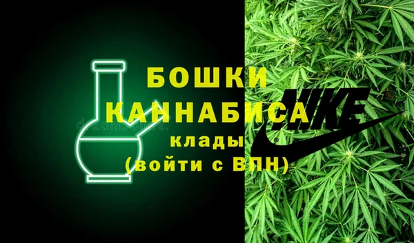 дмт Лиски