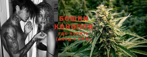 дмт Лиски
