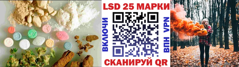 дарнет шоп  Владикавказ  ЛСД экстази кислота 
