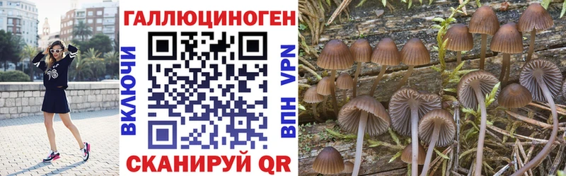 Псилоцибиновые грибы ЛСД  Владикавказ 